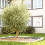 The Originals City, La Terrasse, Nord 3*