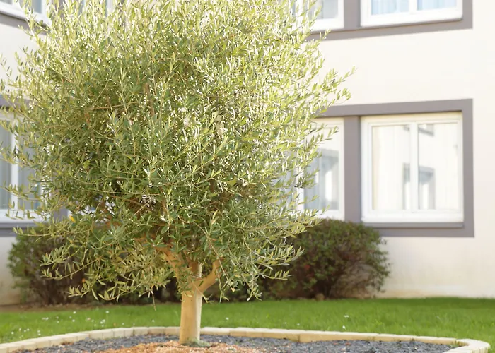 The Originals City, La Terrasse, Nord 3*