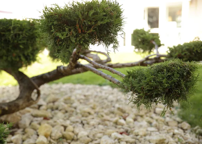 מלון The Originals City, La Terrasse, Nord